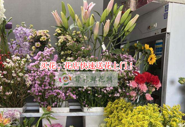 邢台任泽区买花,邢台任泽区花店快速送花上门!